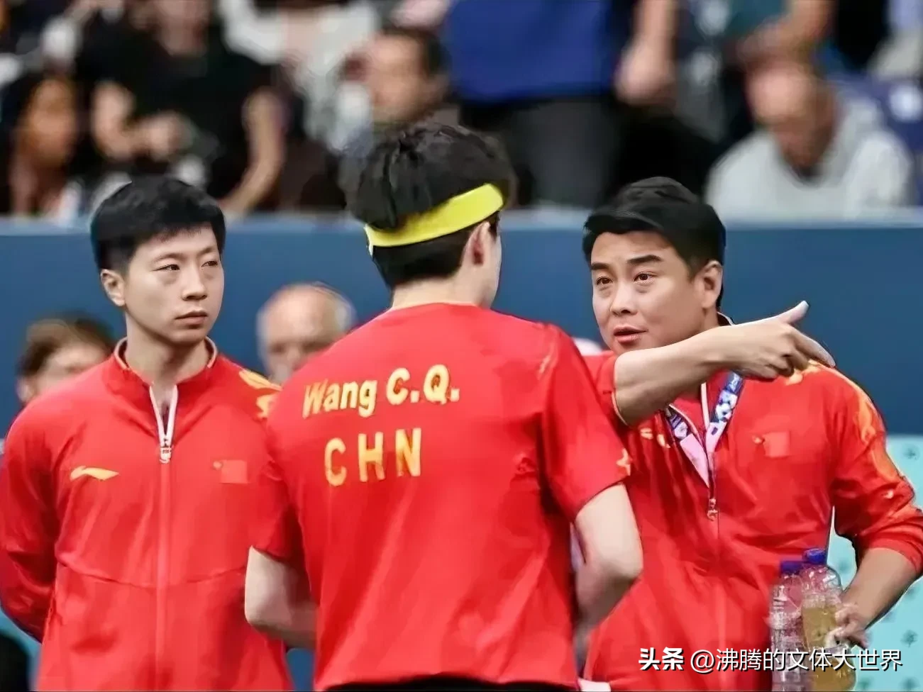 开云体育中国官网-波兰队力克中国队，王皓点燃赛场